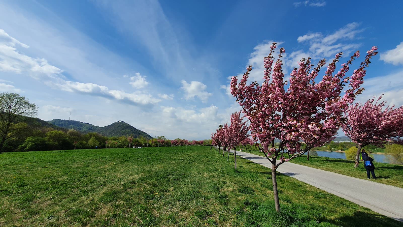 Kirschenhain Donauinsel - Image 1