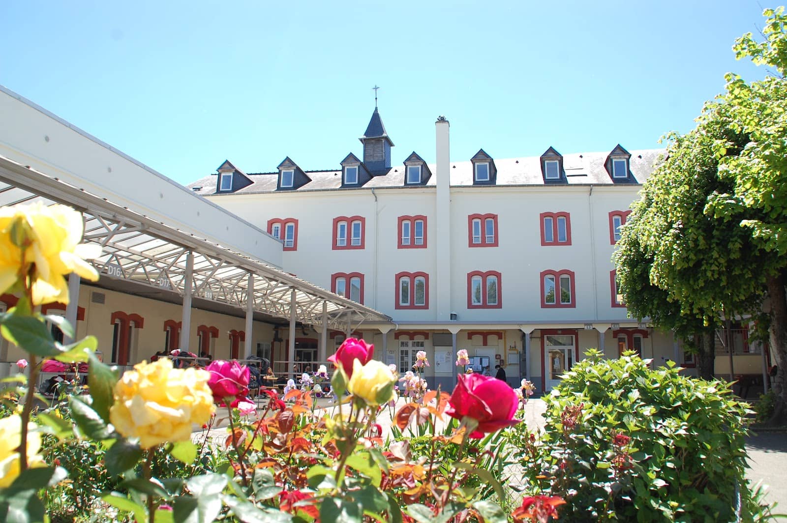Hidden Courtyards and Gardens