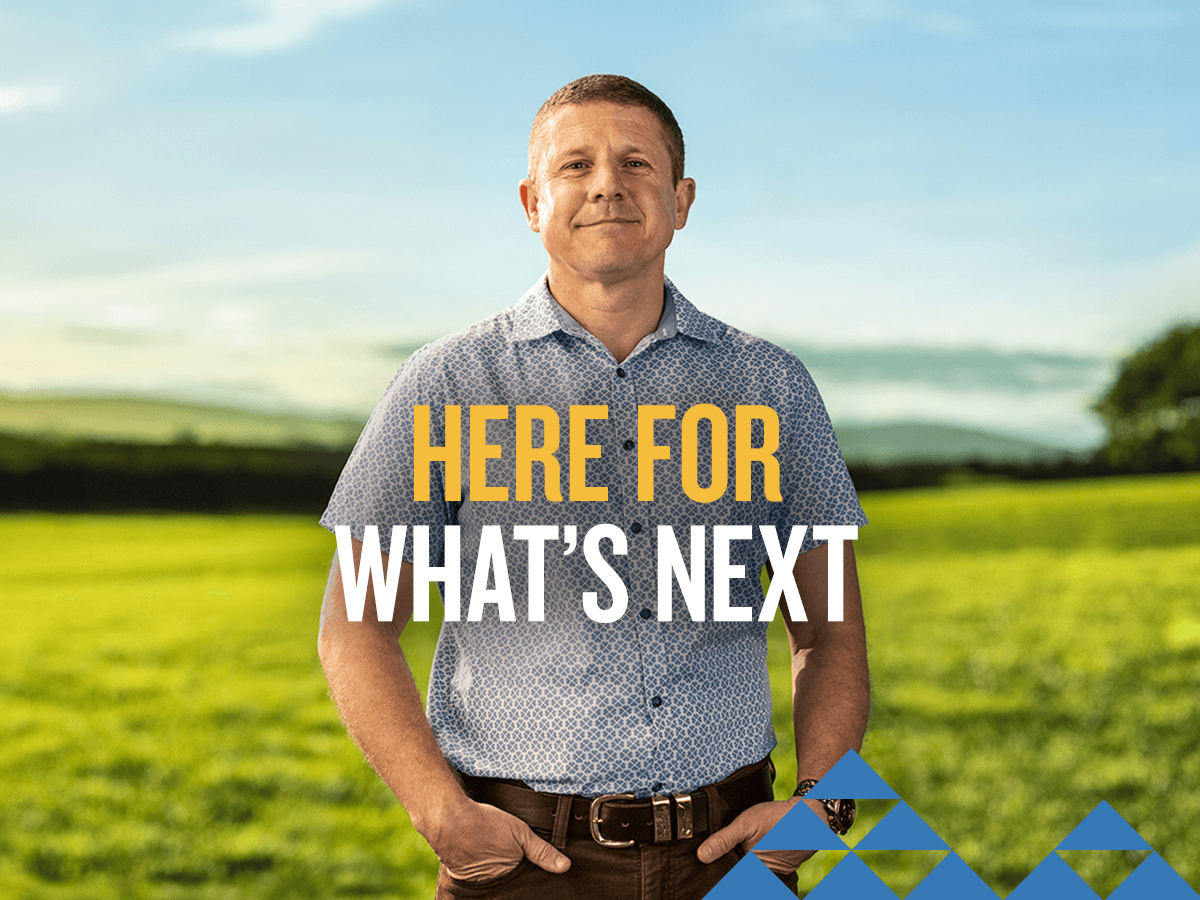 Massey University Turitea Campus - Image 1