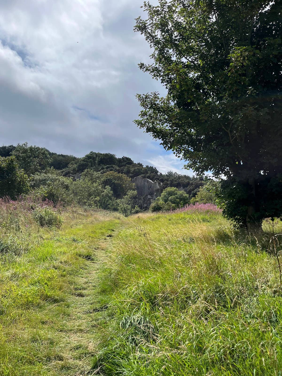 Historical Quarry Landscape