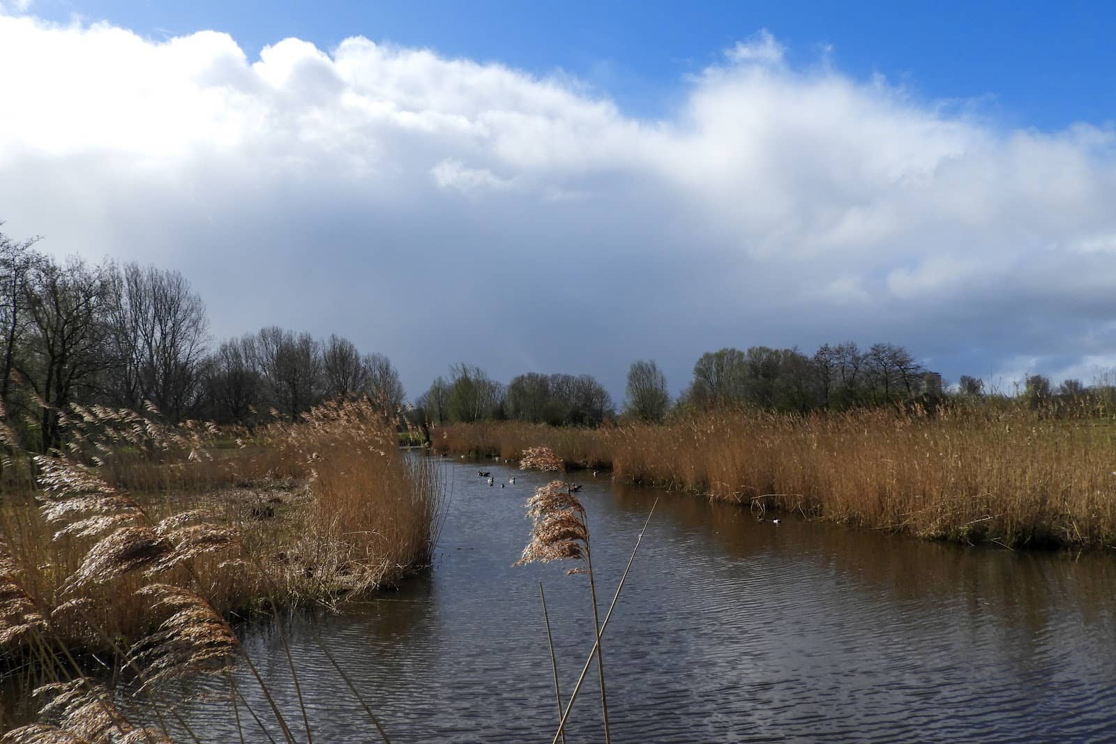 Geocaching Adventures