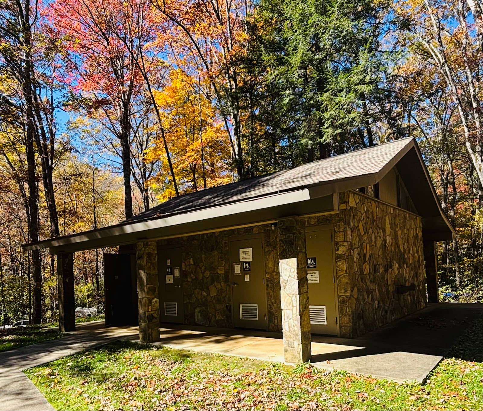 Panoramic Forest Views