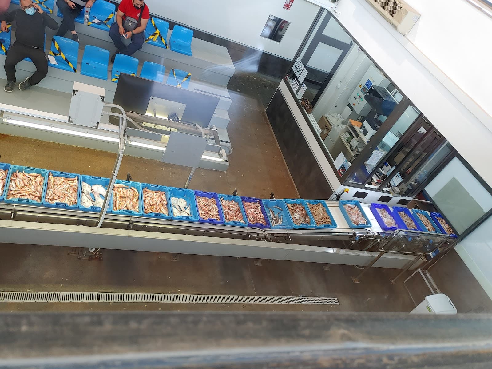 Fish Market Dénia - Image 1