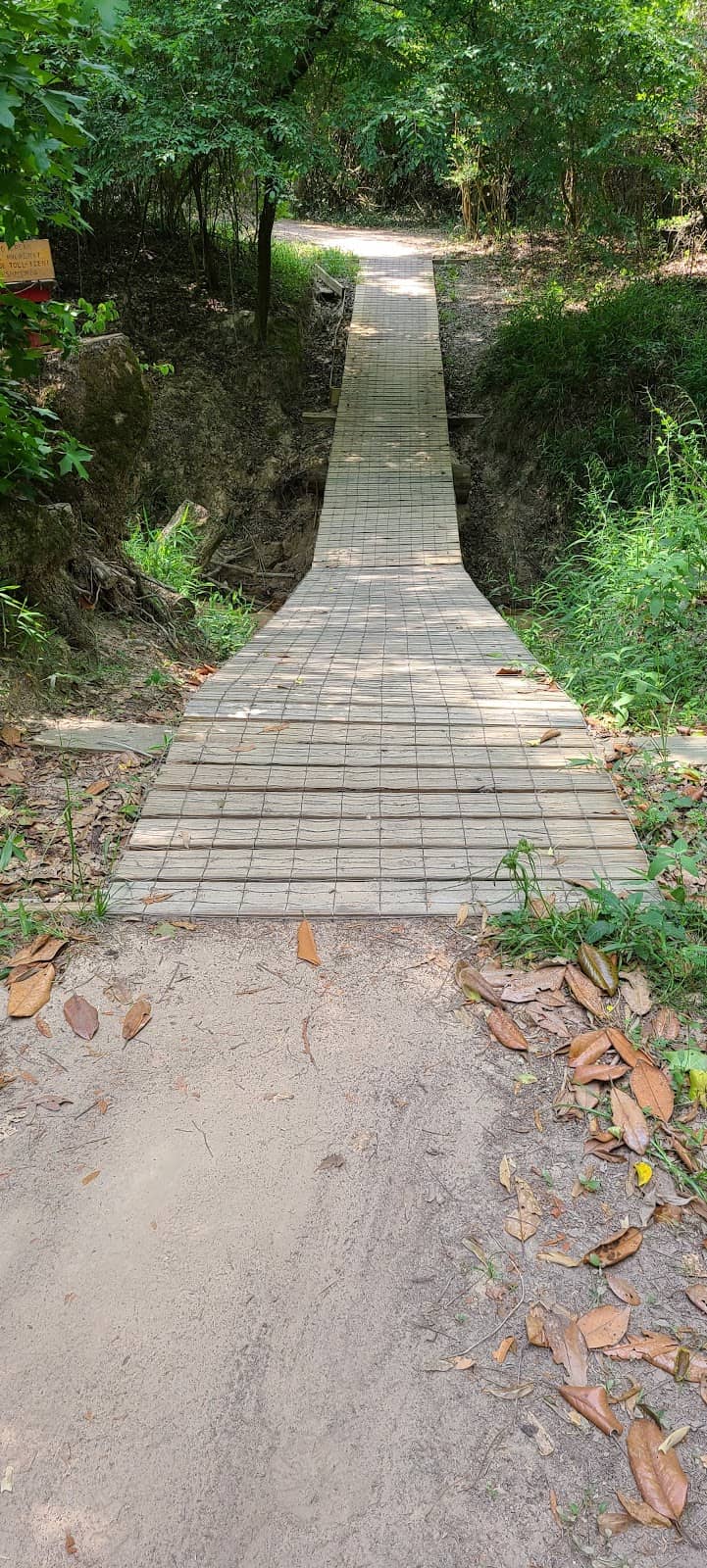 Nature Trails & Creek Access