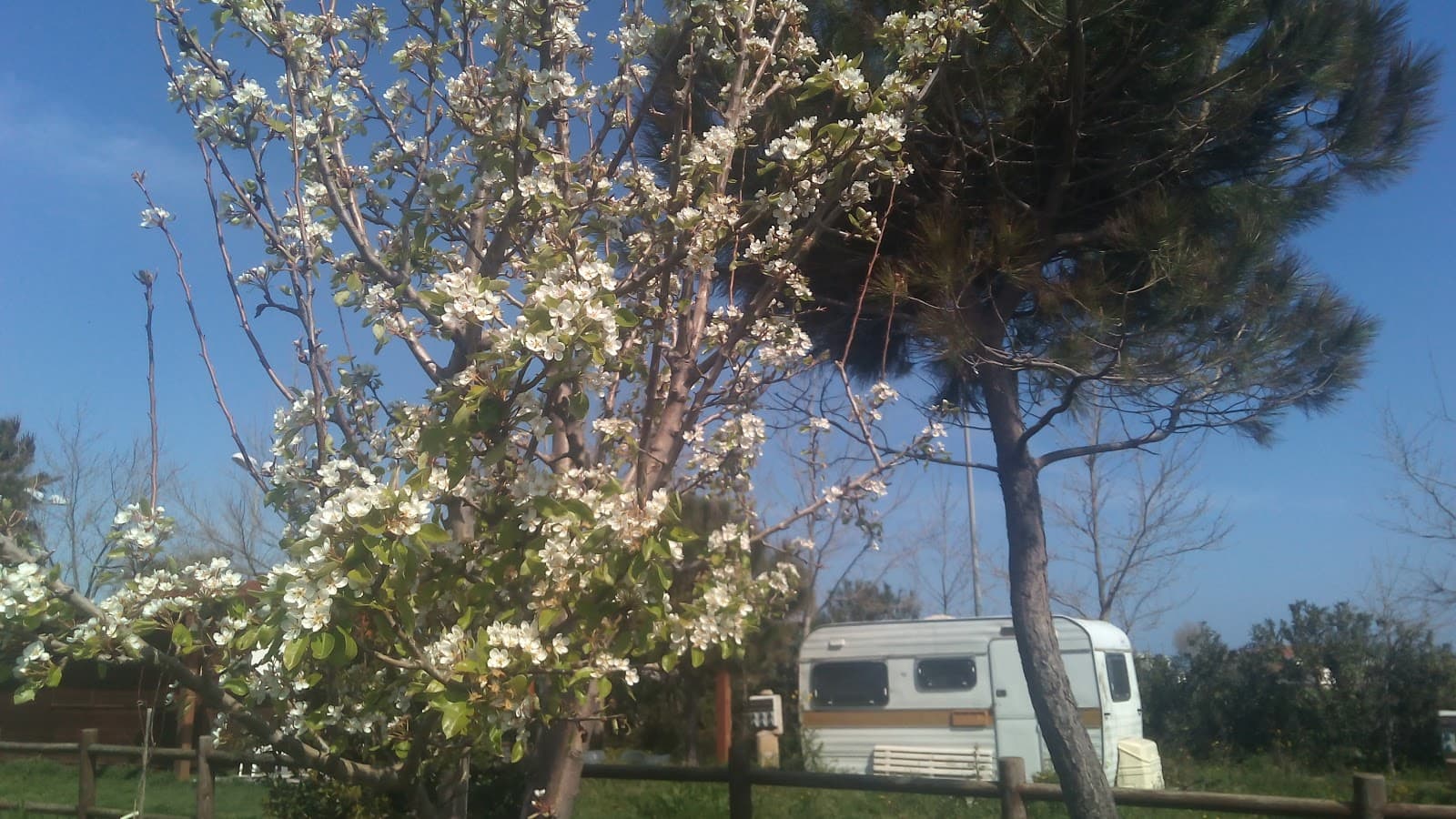 Torre Scifo - Image 1