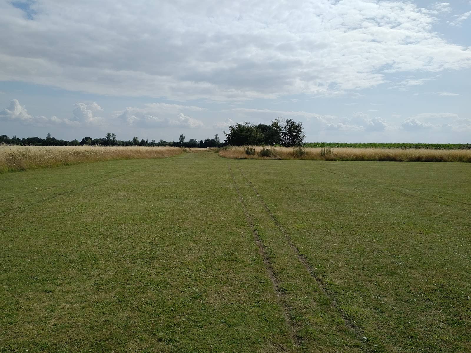 Iron Age Farmstead Site