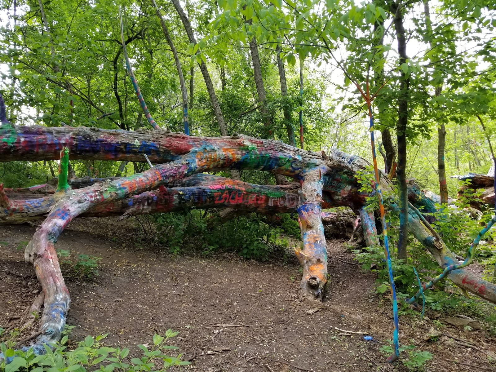 Hippie Tree - Image 1