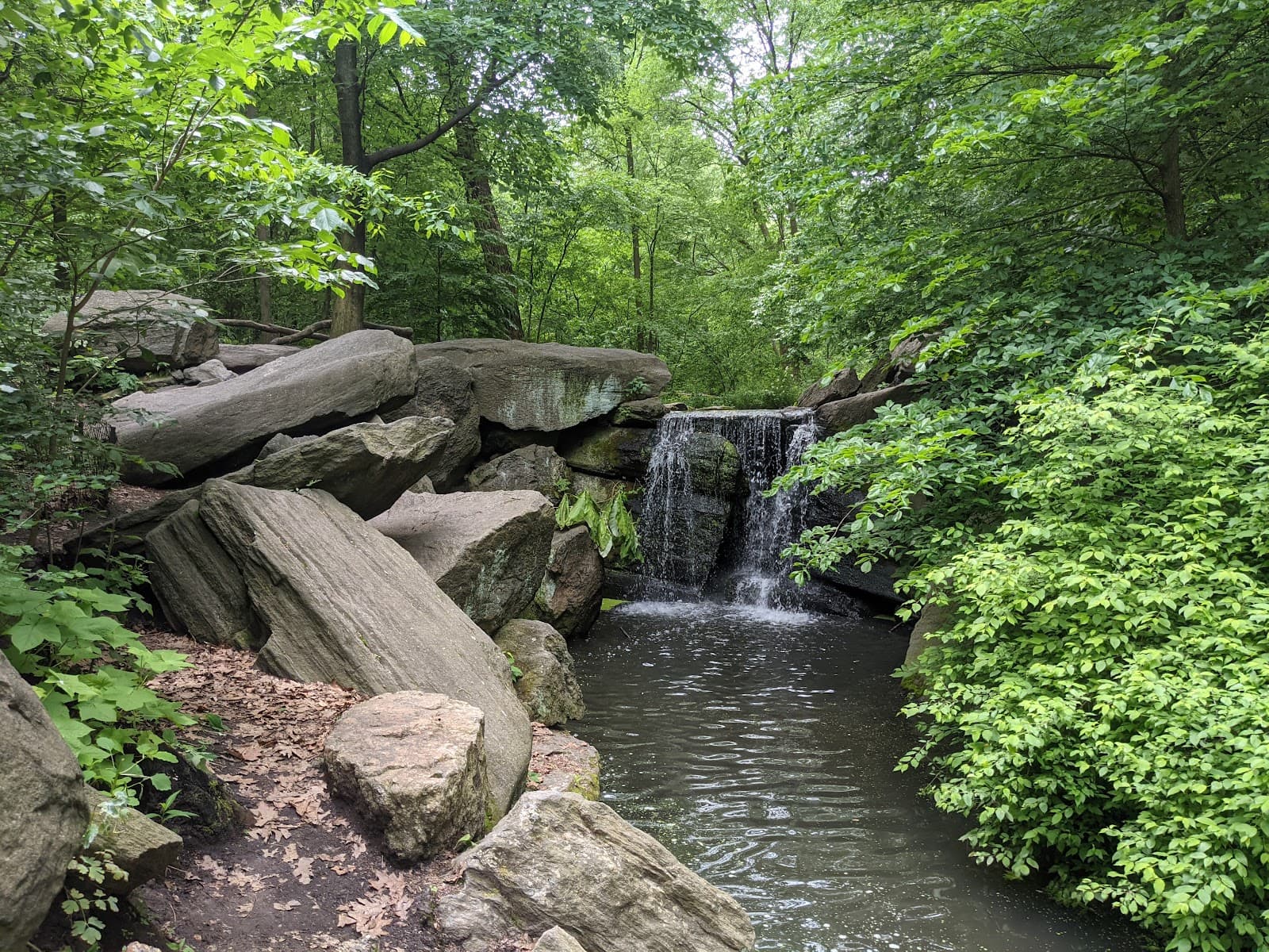 North Woods - Image 1