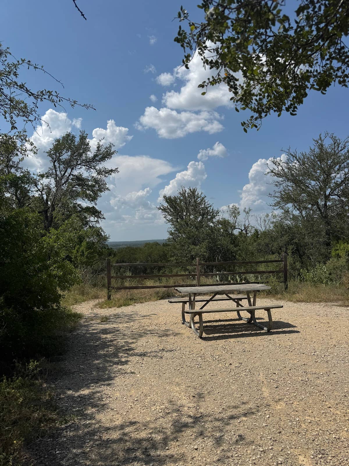 Wildlife Viewing Opportunities