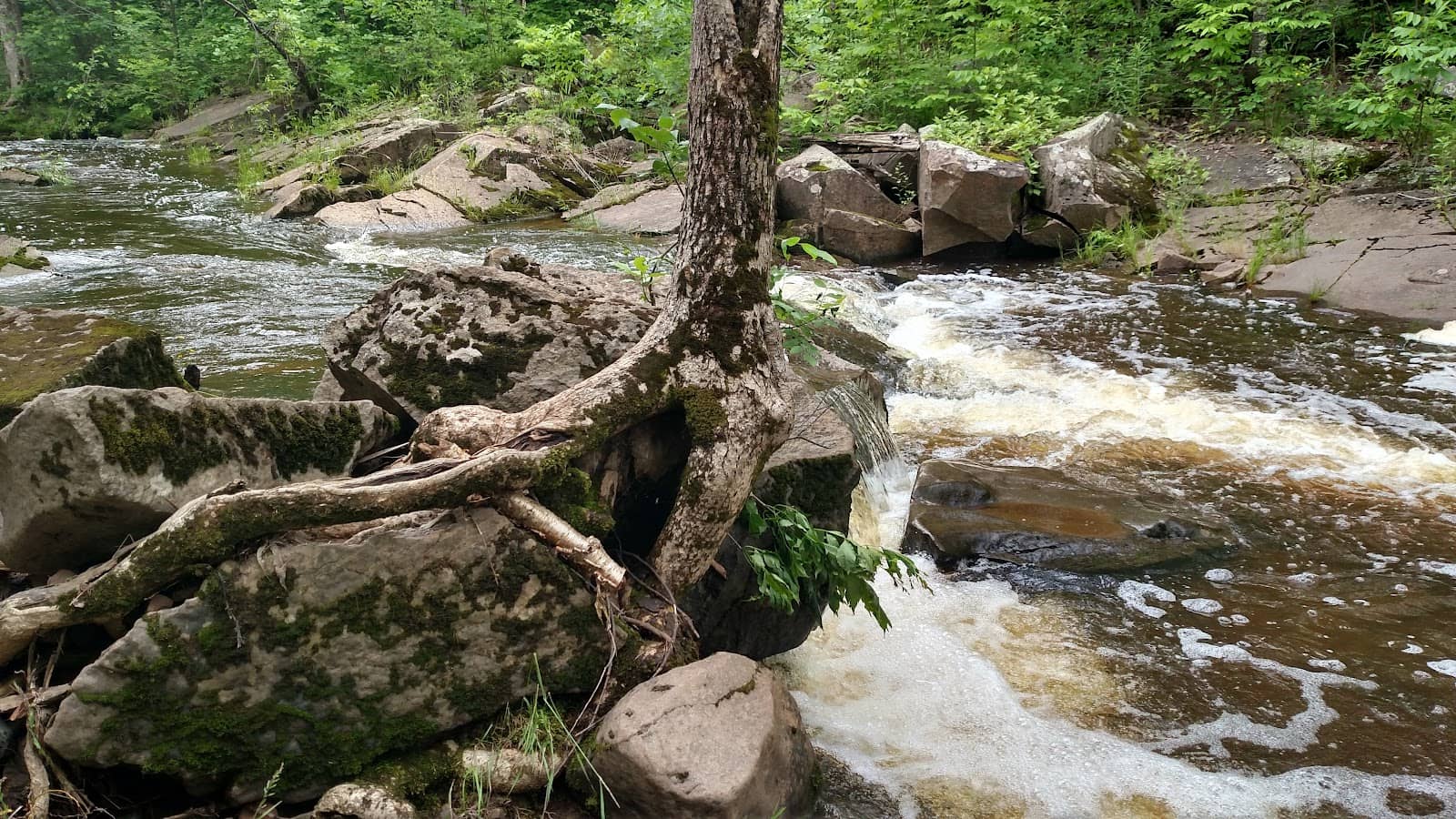 Modern Cover Artistry