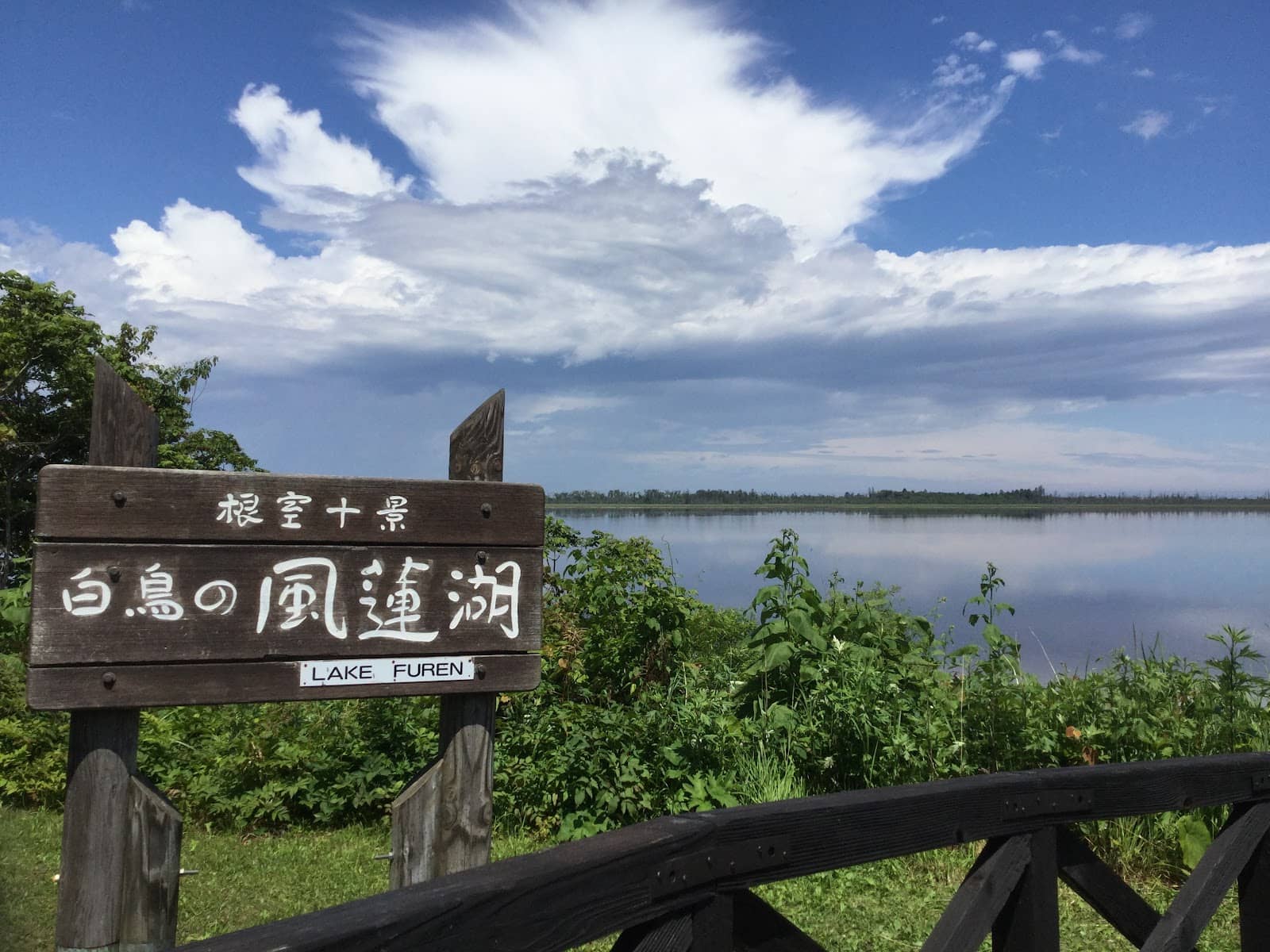 Protected Dunes & Wetlands