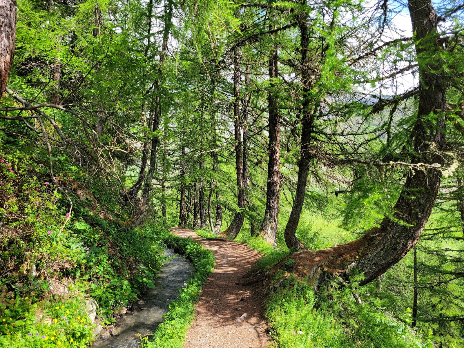 Panoramic Mountain Views