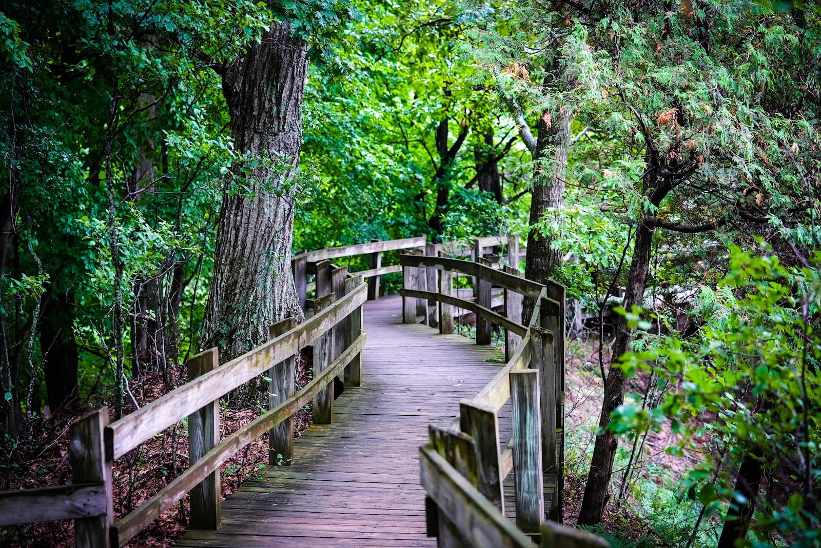 Skyline Trail LSP - Image 1