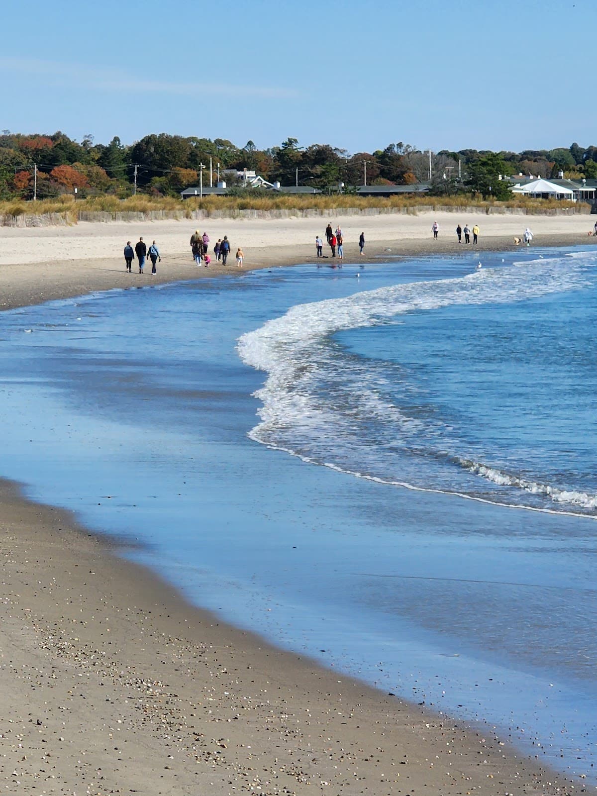 Pier Gazebo Park - Image 1