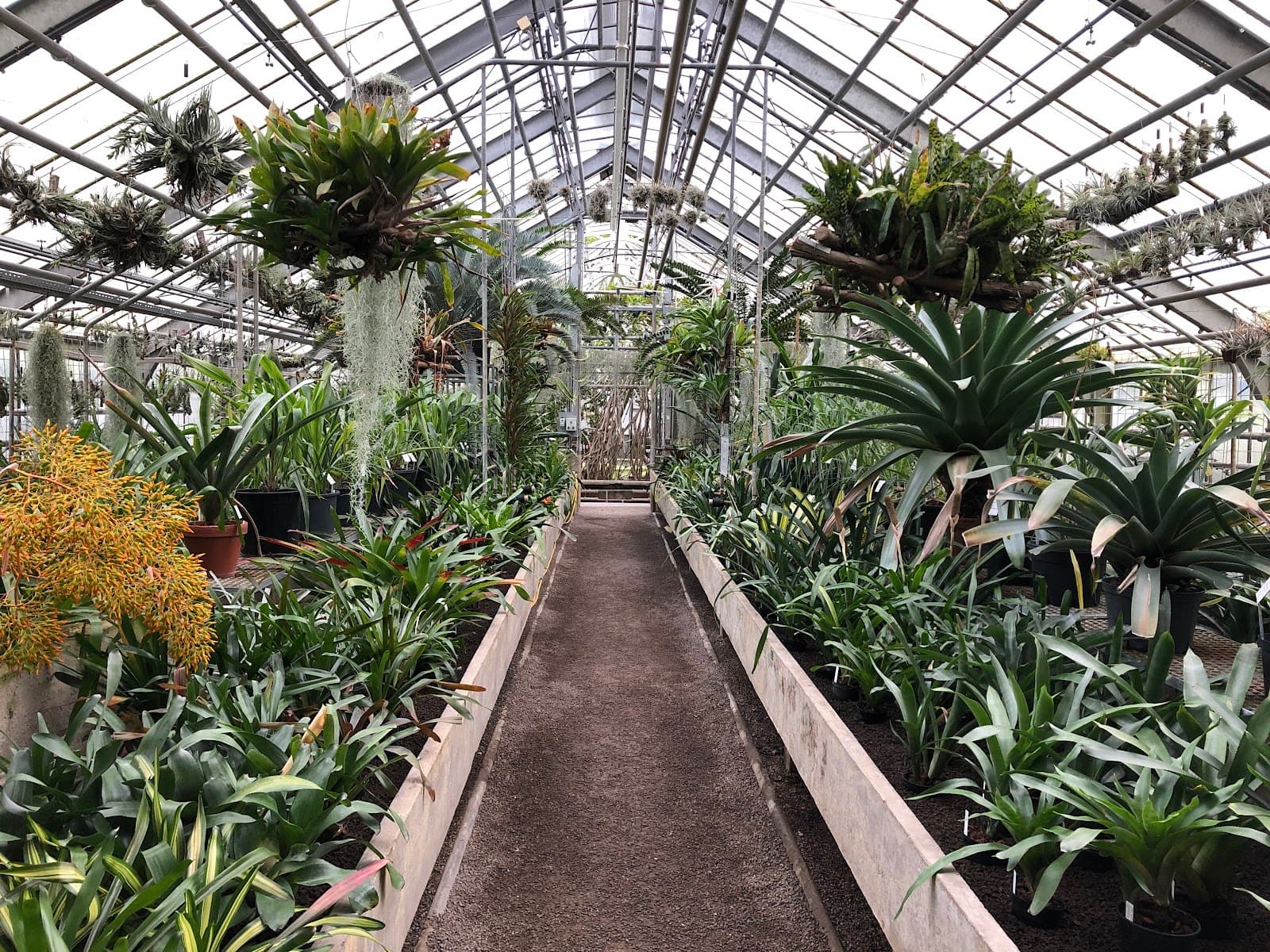 Botanical Garden - Image 1