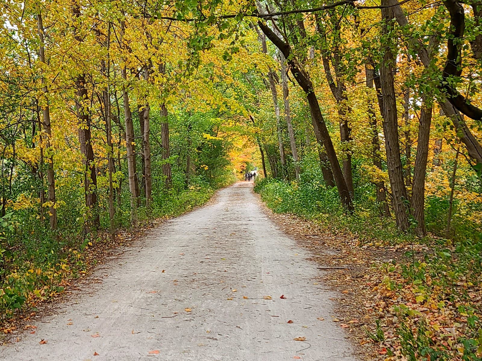 Green Bay Trail - Image 1