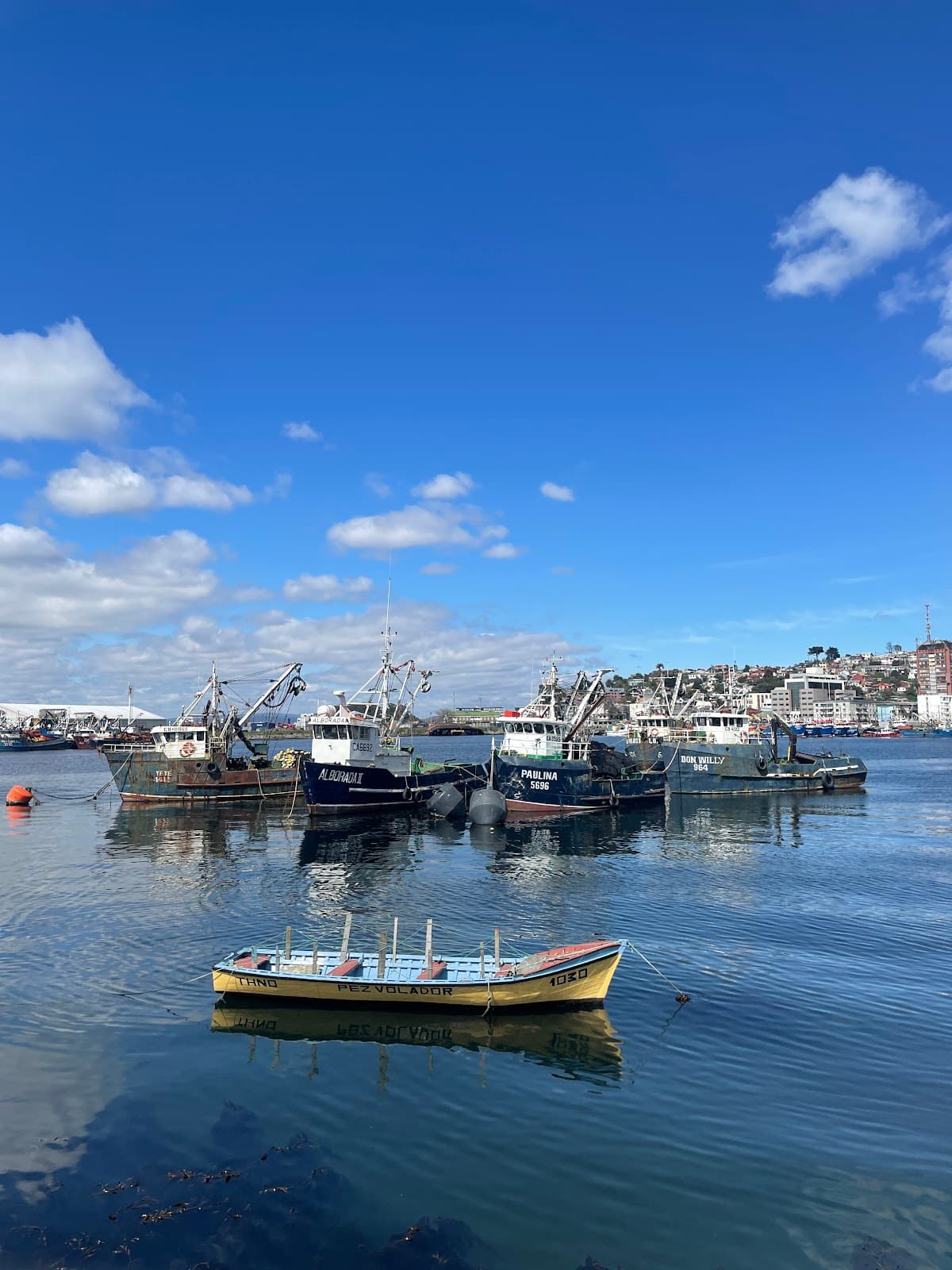 Costanera de Talcahuano - Image 1