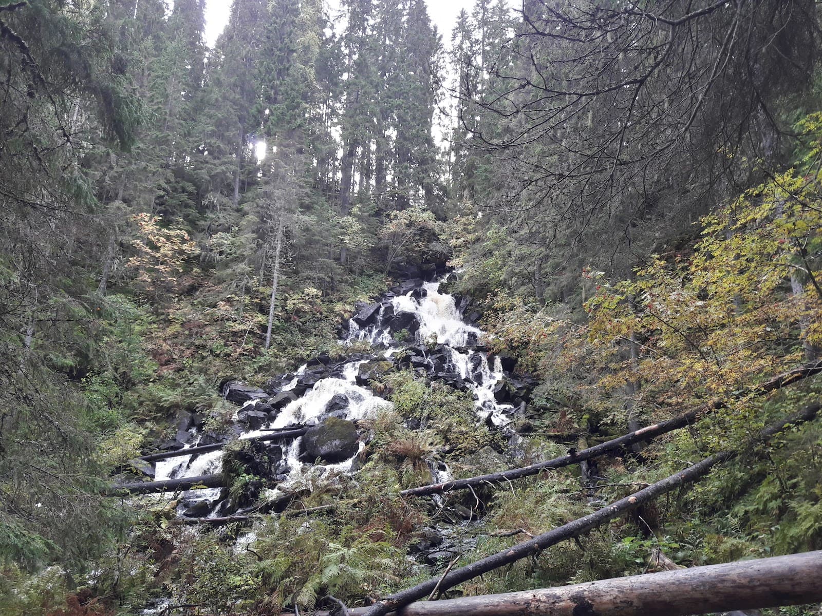Korkeakoski Waterfall (Maaninka) - Image 1