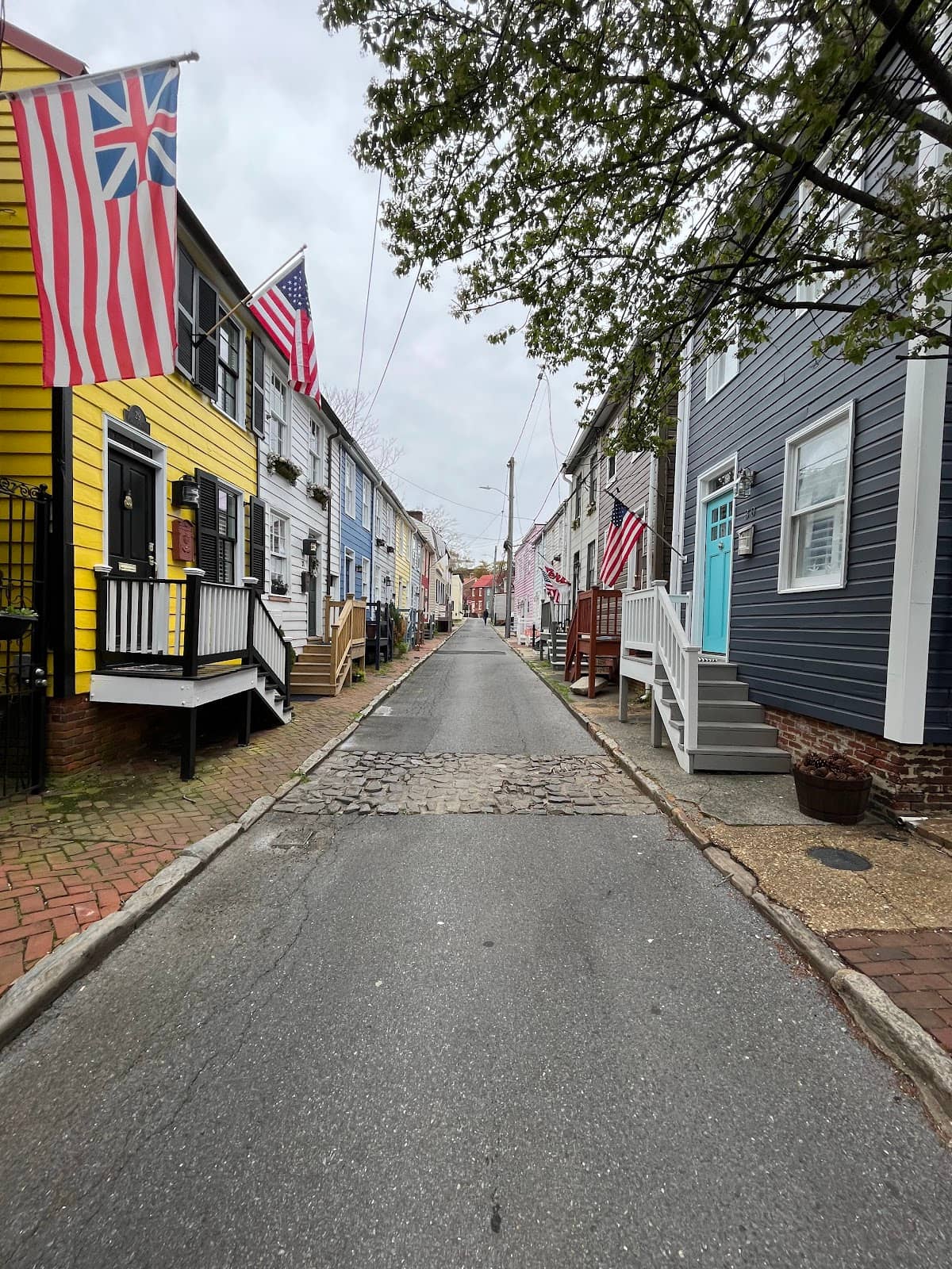 Knowledgeable Staff & Volunteers