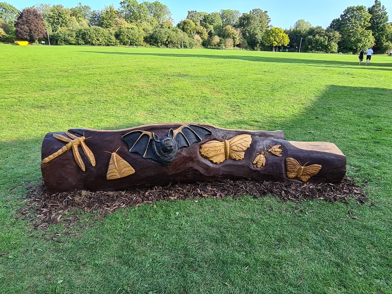 Limited Play Equipment