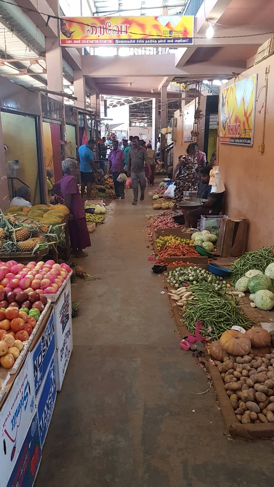 Abundant Fruit Selection