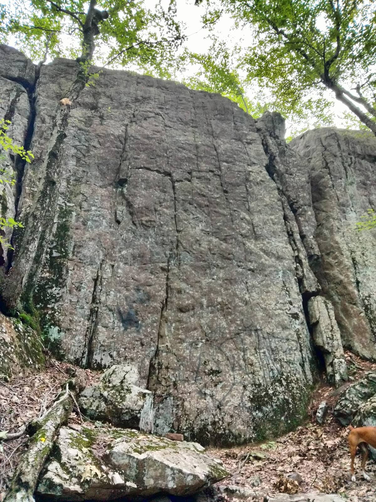 Historic Bronze Plaque