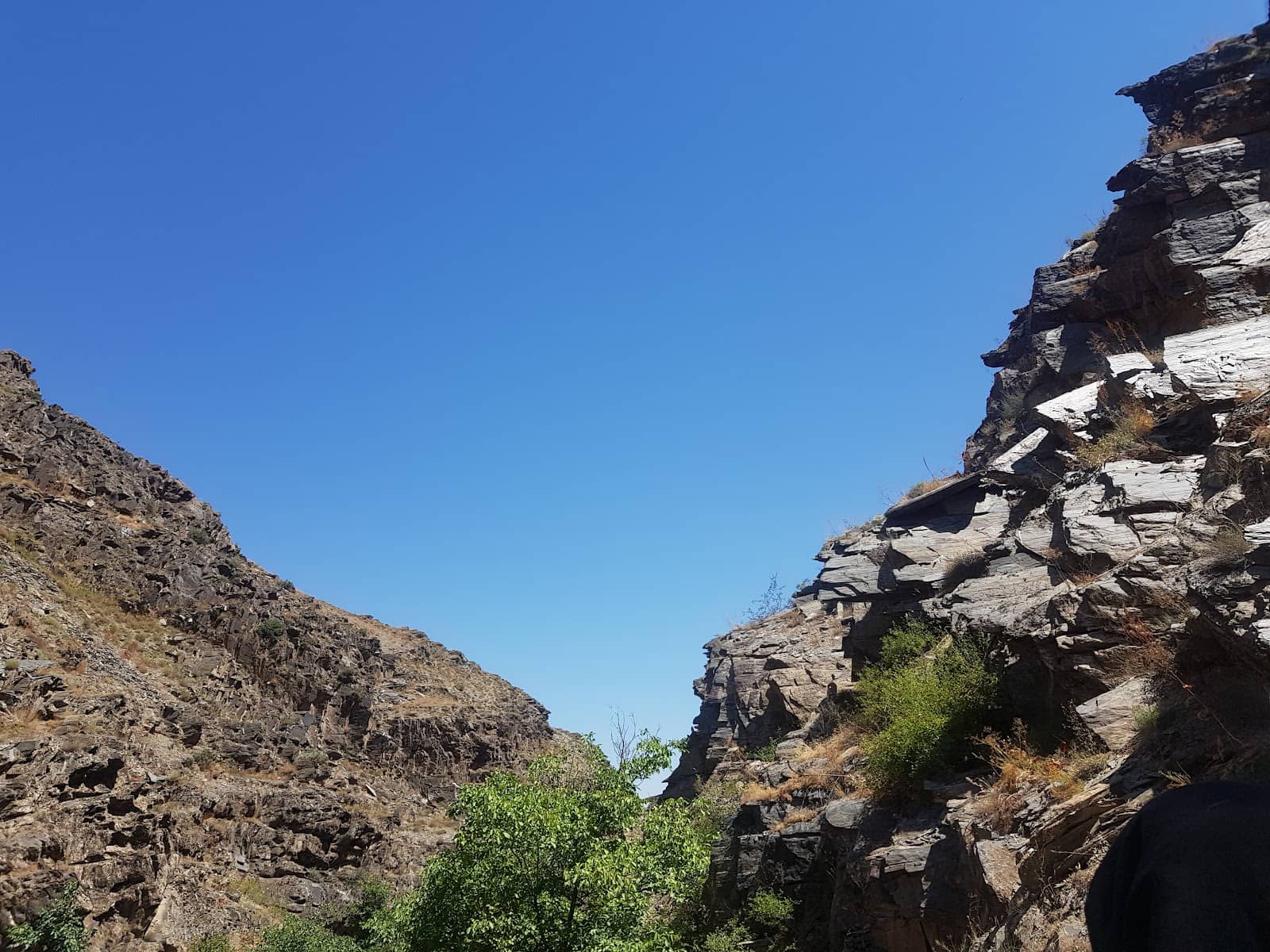 Vertical photo