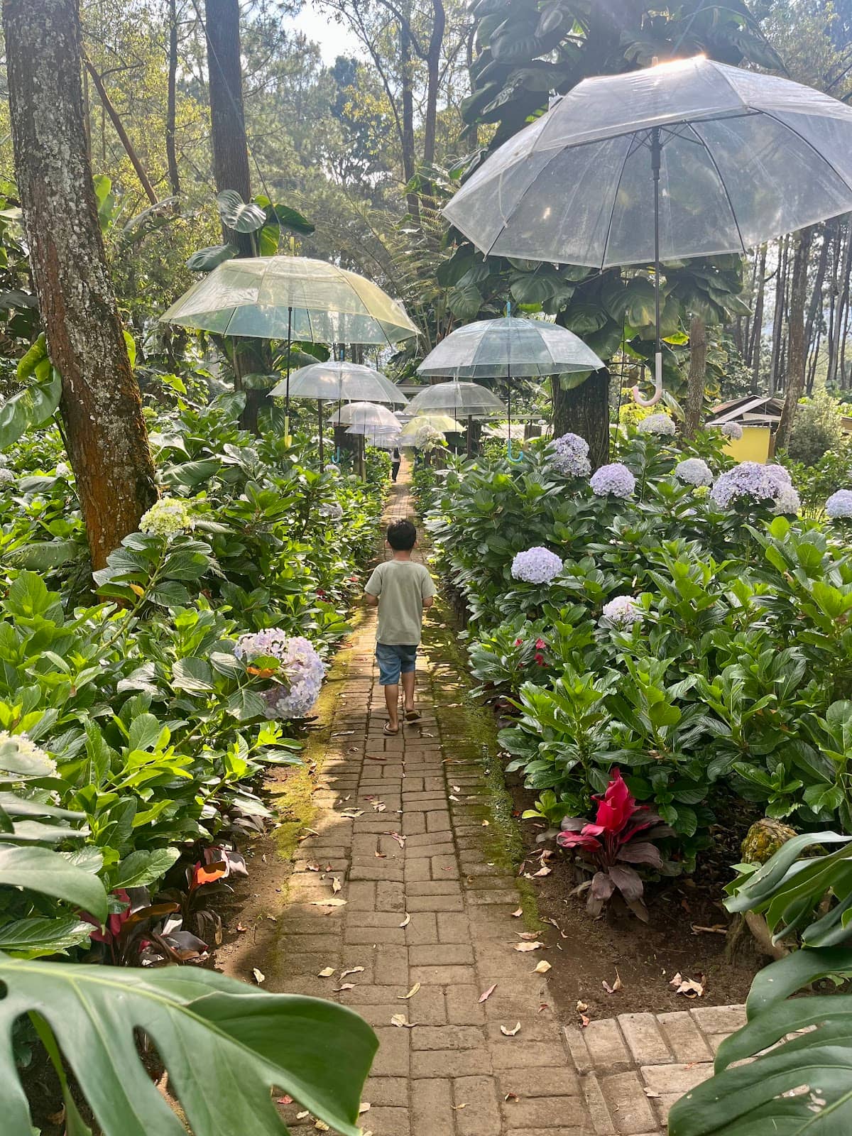 Instagrammable Flower Alleys