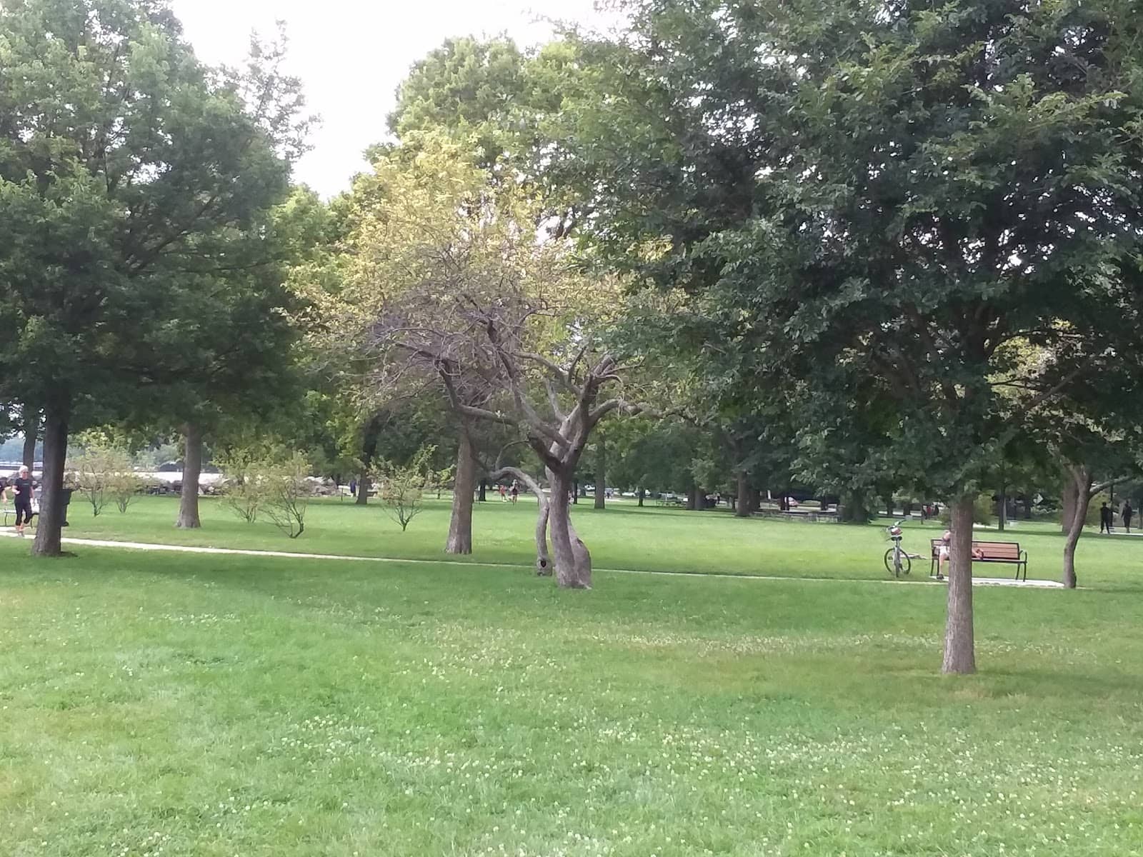 Picnic & Fire Pit Areas