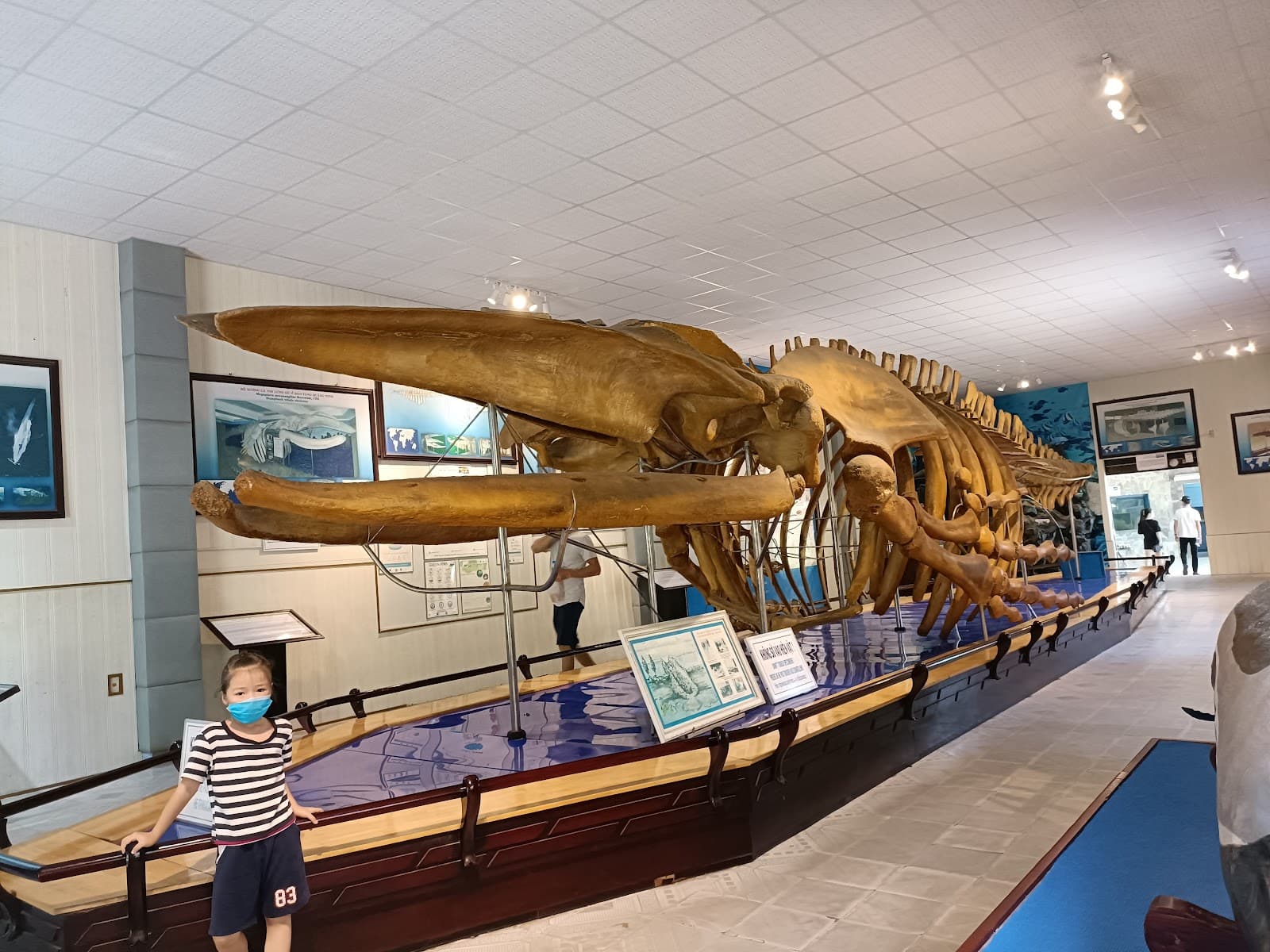 National Oceanographic Museum of Vietnam - Image 1