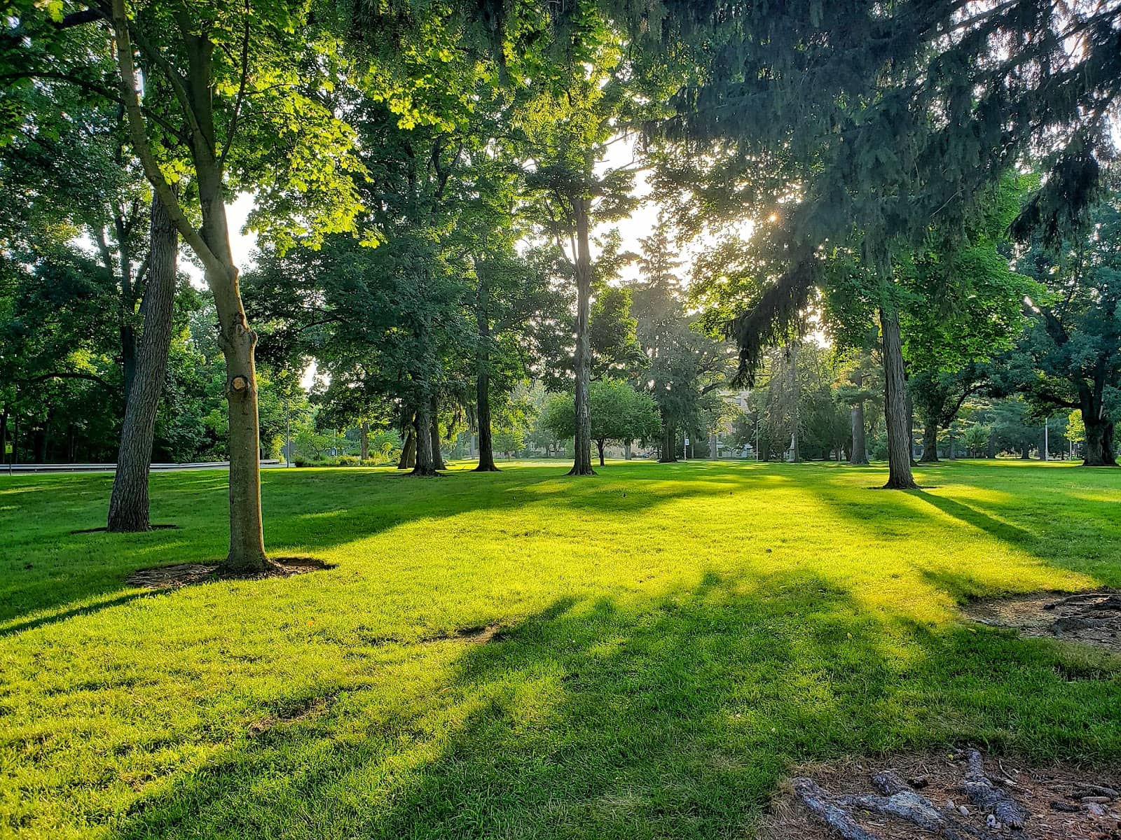 Beautifully Maintained Grounds