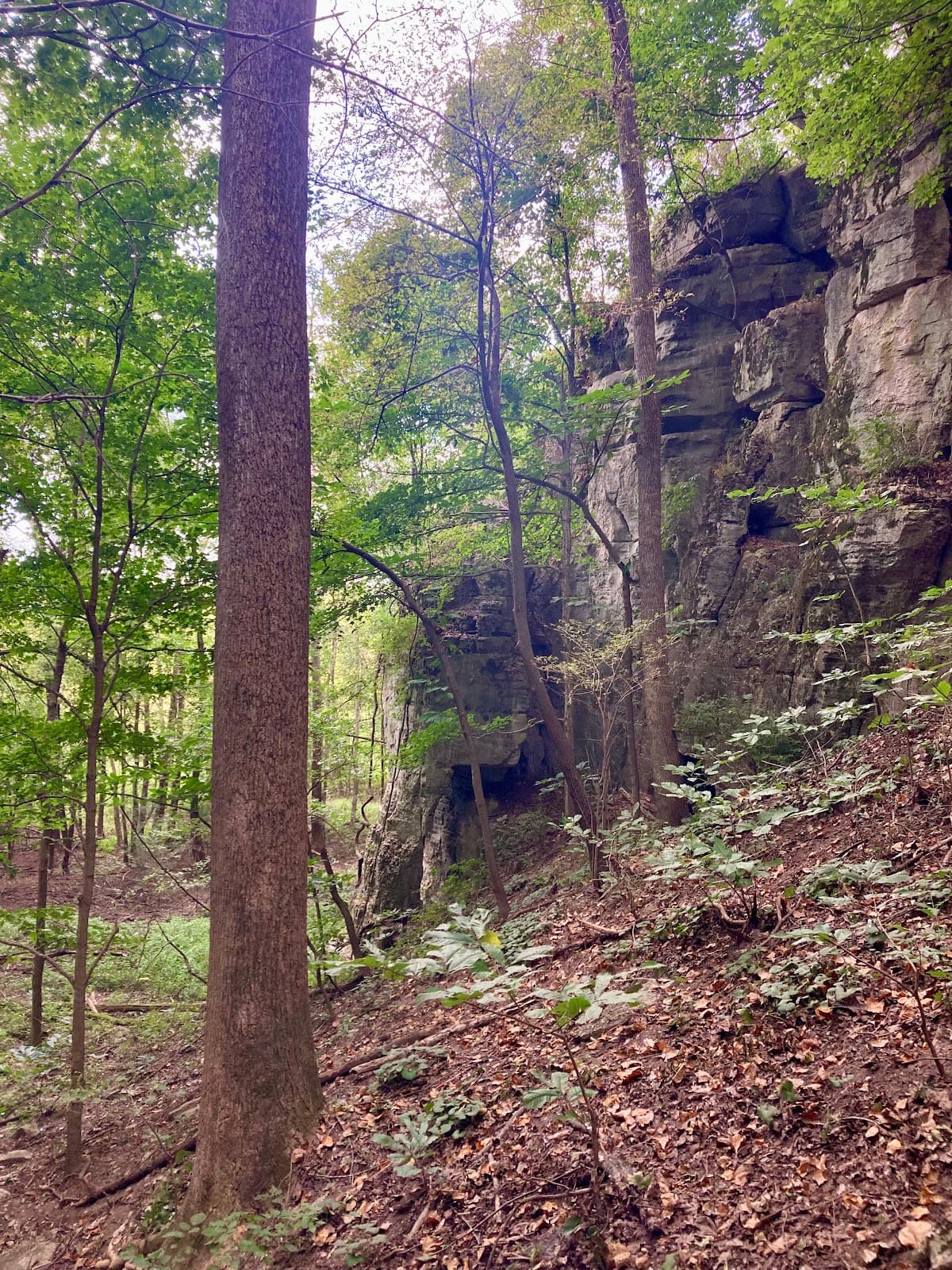 LaCroix Recreation Trail - Image 1