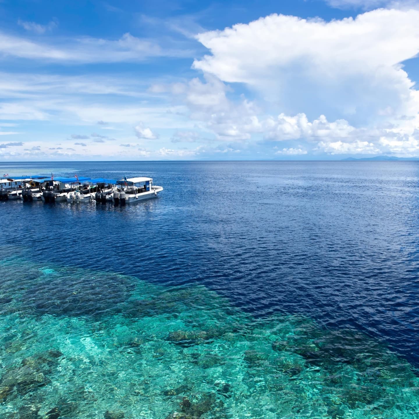 Barracuda Point (Sipadan) - Image 1