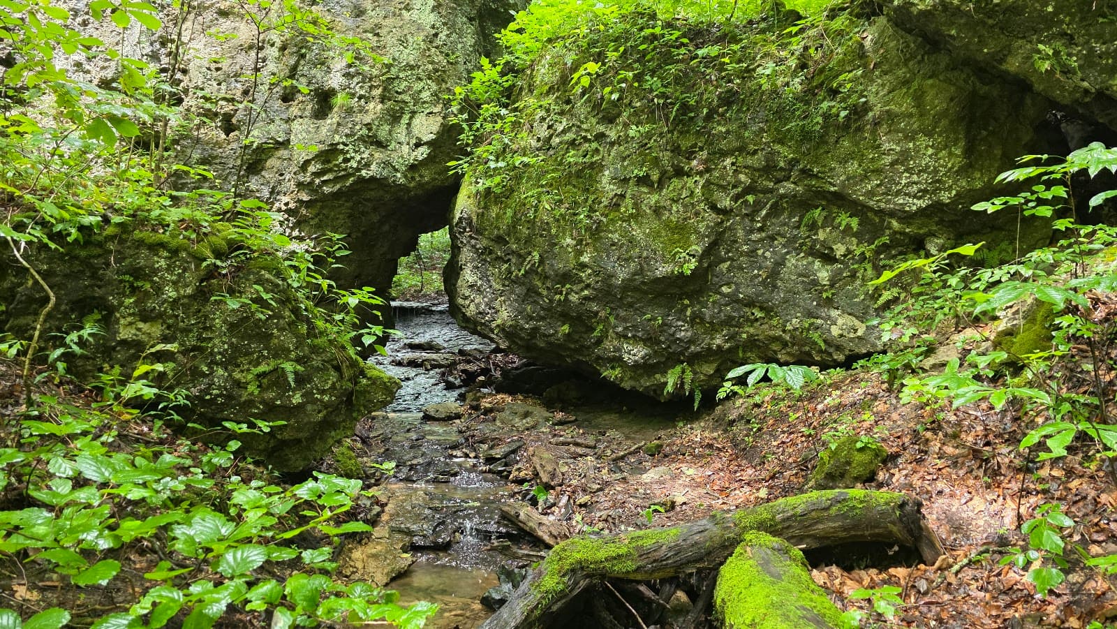 Fort Hill Earthworks & Nature Preserve - Image 1