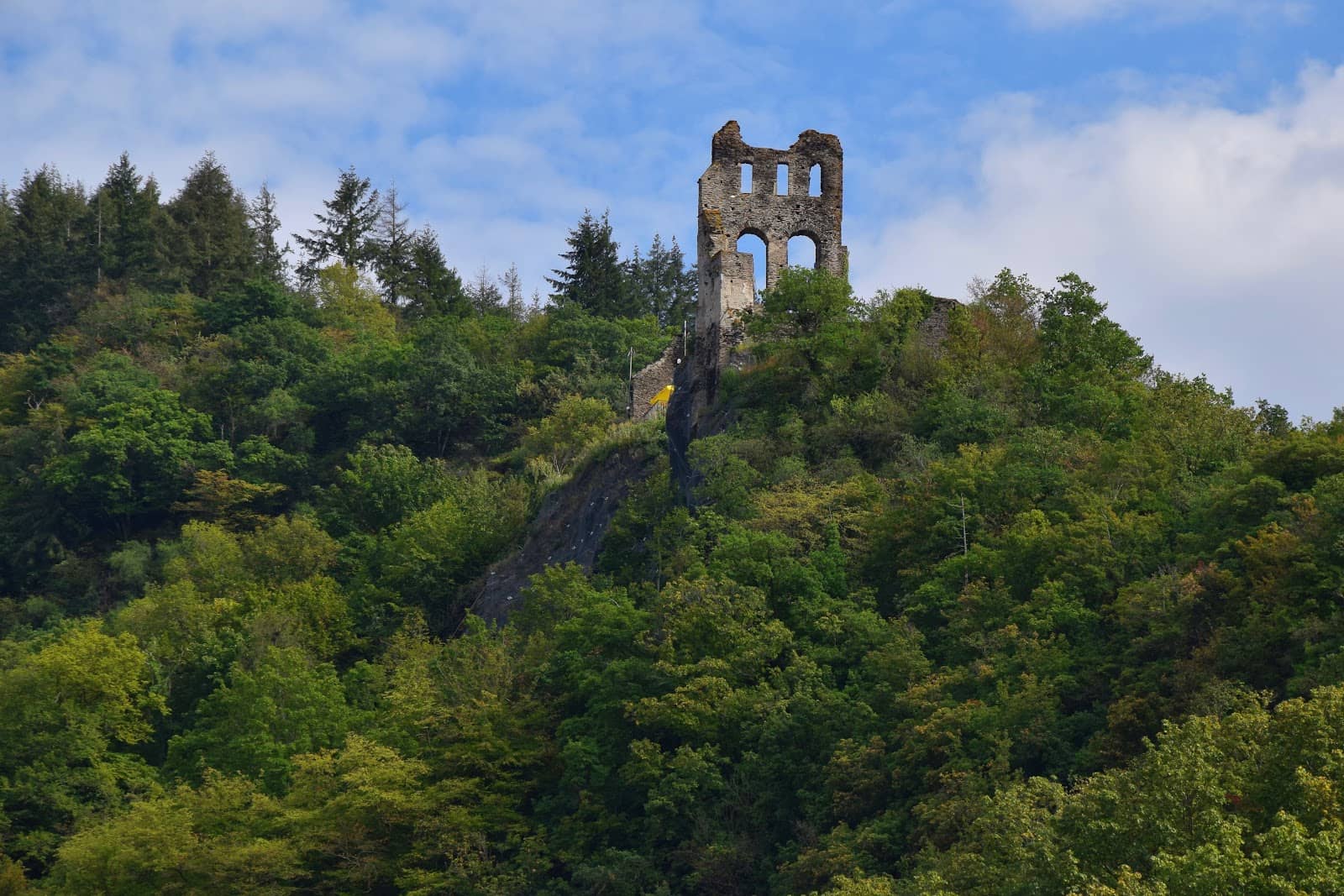 Vertical photo