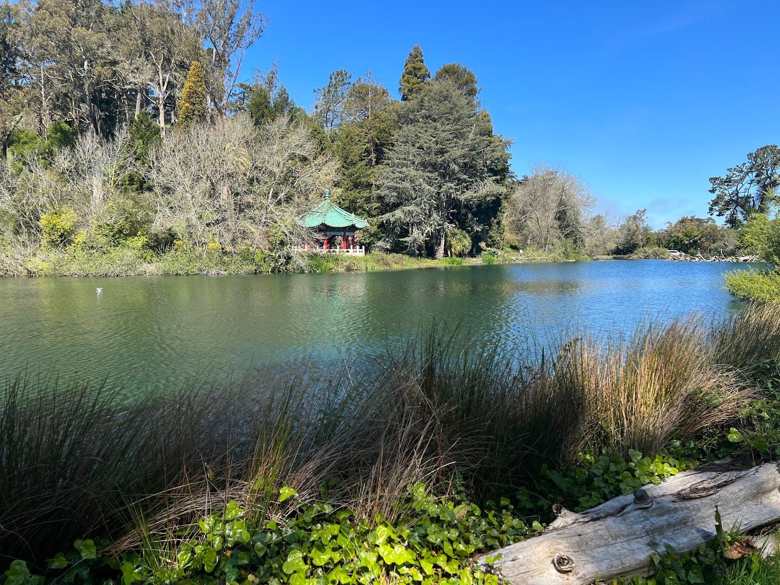 Stow Lake & Strawberry Hill San Francisco - Image 1