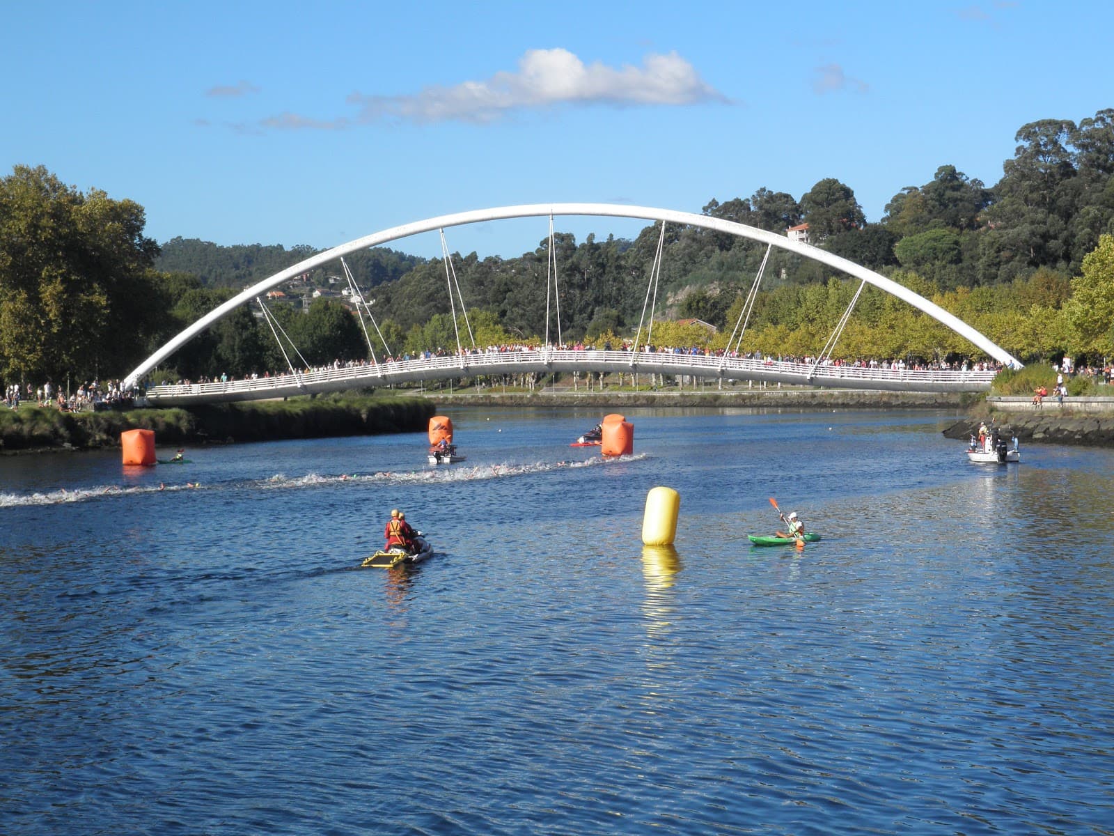 Lérez Footbridge - Image 1