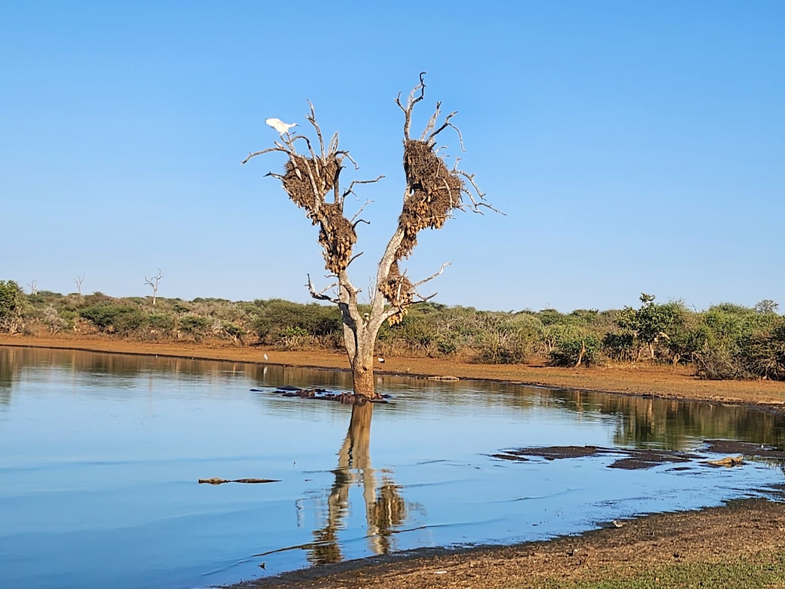 Sunset Dam - Image 1