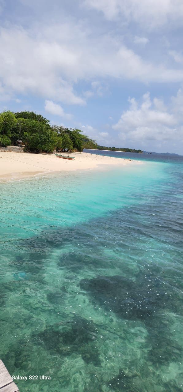 Lihaga Island - Image 1