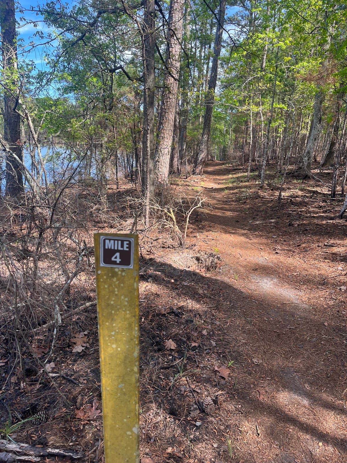 Bartram Trail - Image 1