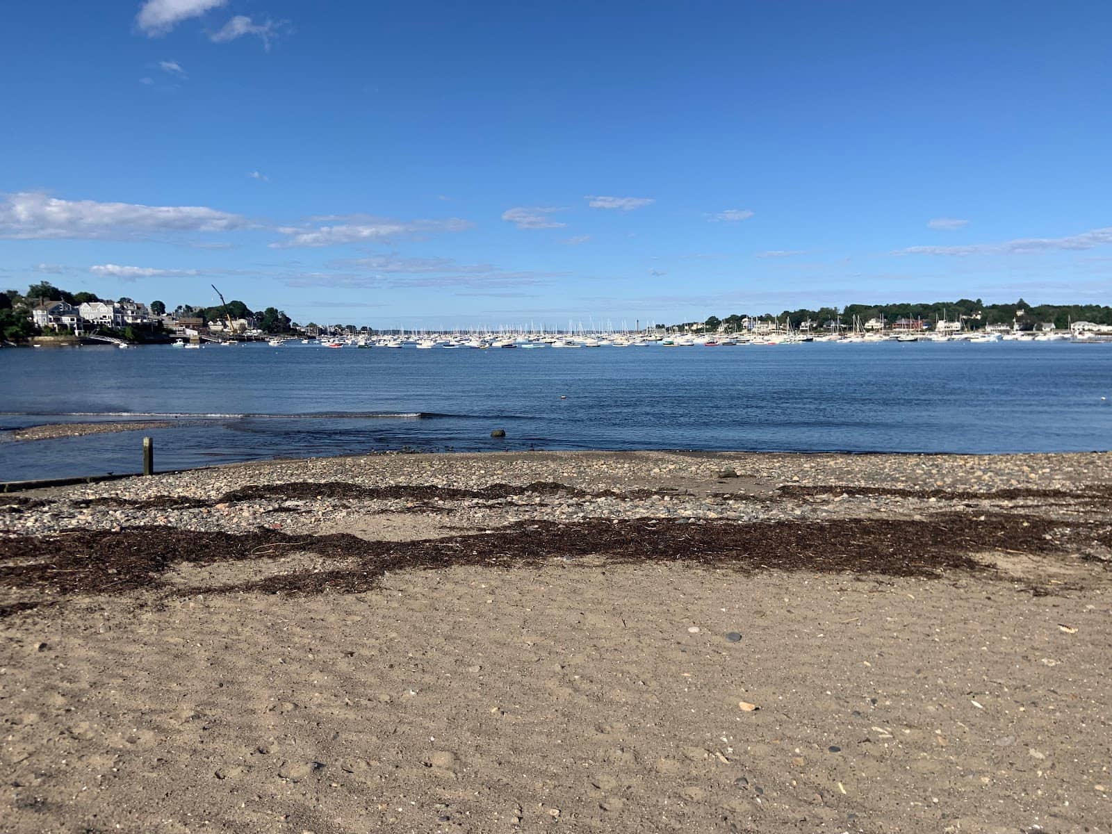 Calm Waters for Swimming