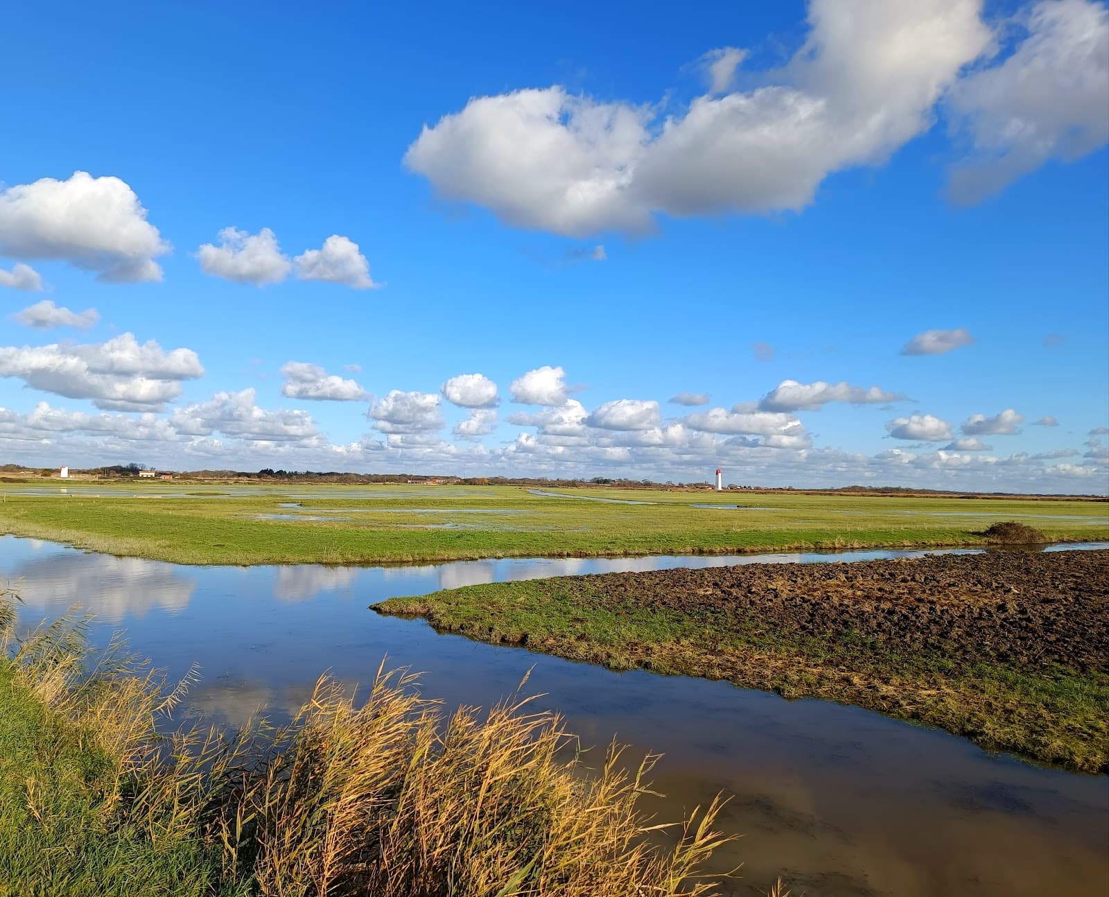 Marais du Morinand - Image 1
