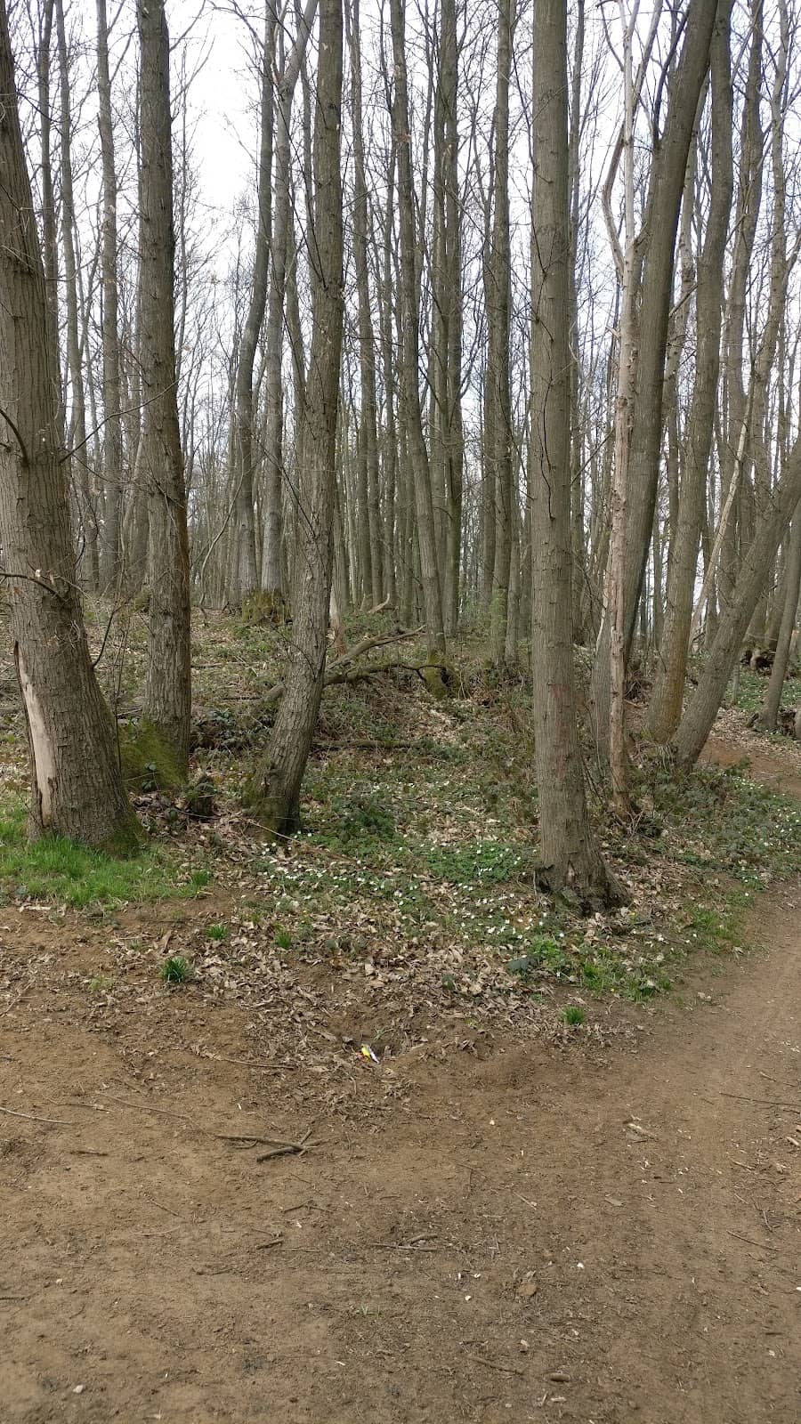 Community Events at The Bull Inn