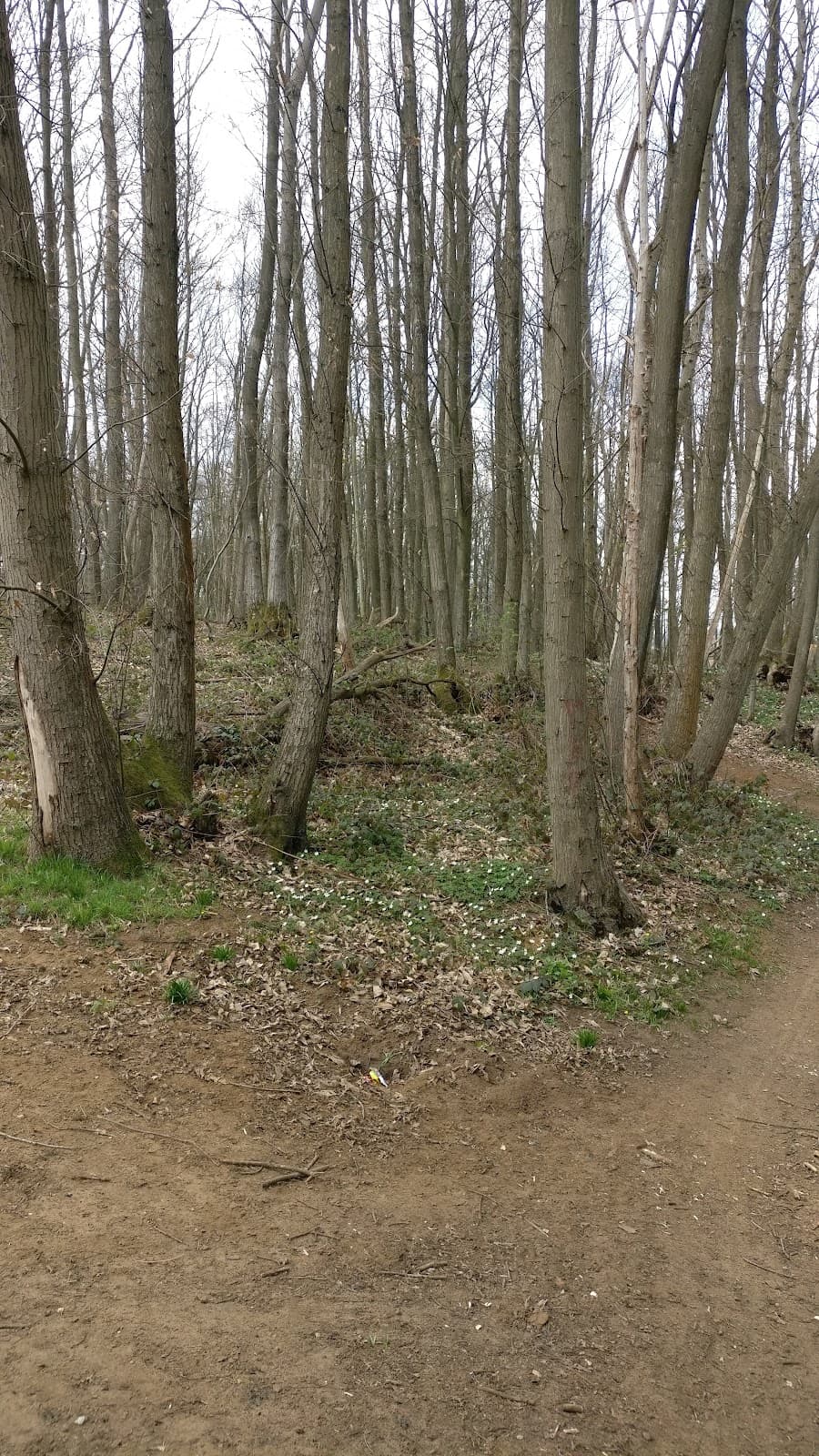 Penenden Heath Maidstone - Image 1