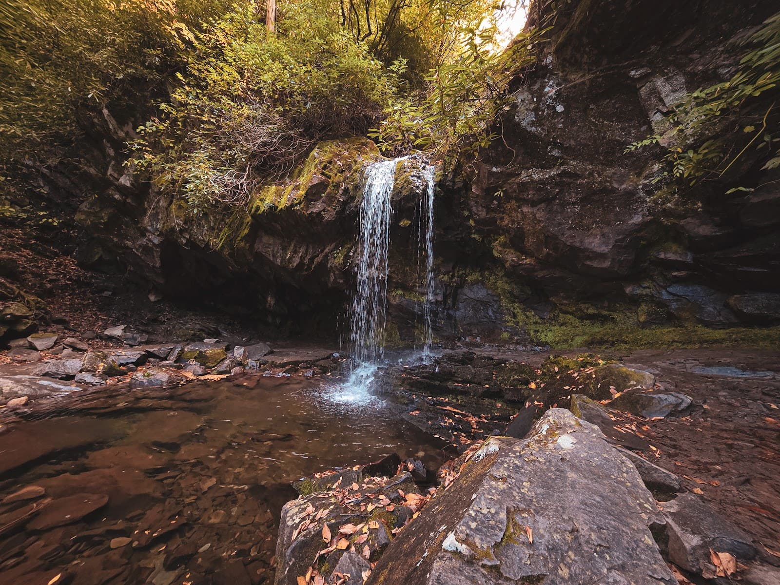 Grotto Falls Trillium Gap Trail - Image 1