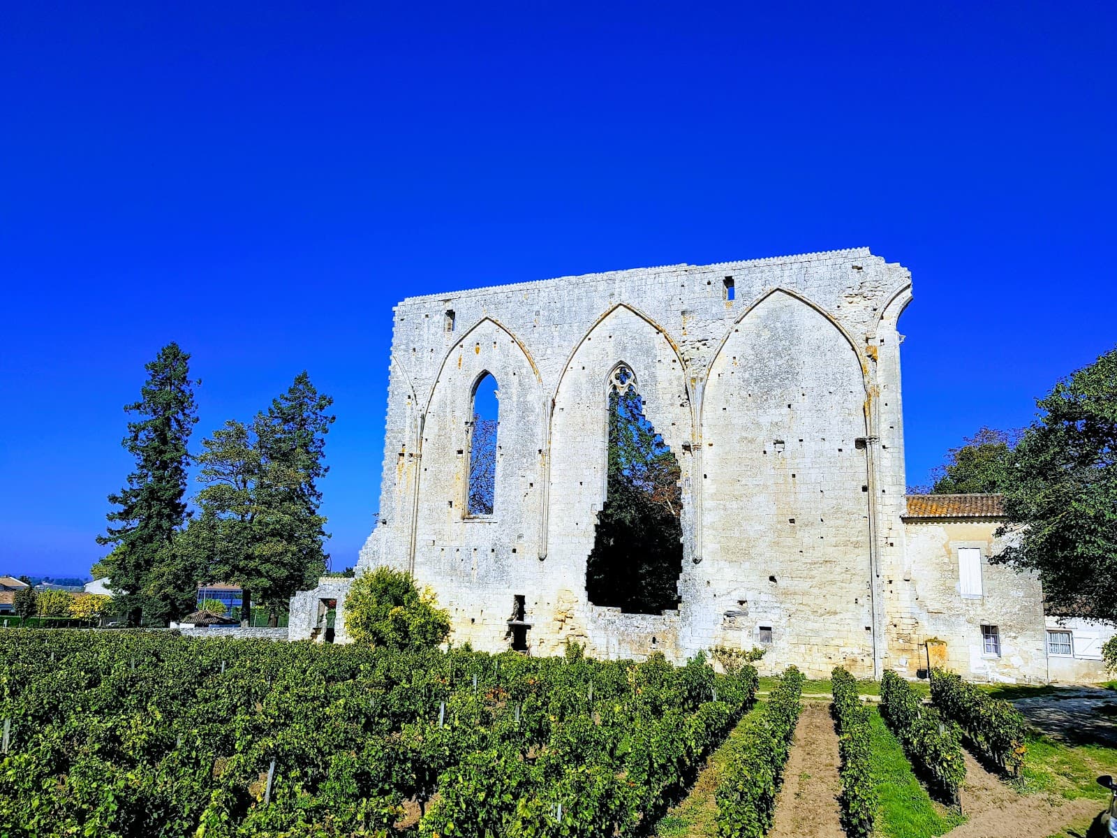 Parc Guadet - Image 1