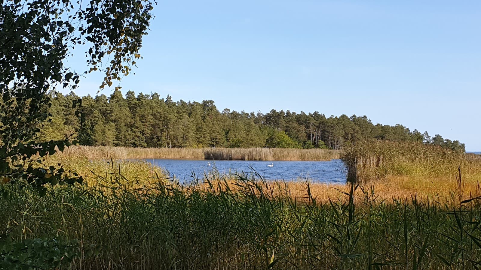 Värsnäs Nature Reserve - Image 1