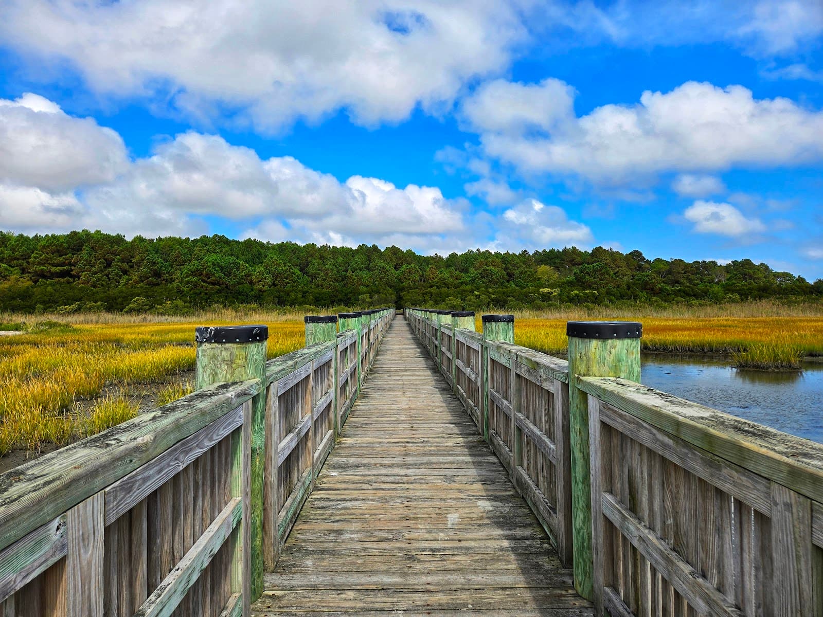 Isle of Wight Wildlife Management Area - Image 1