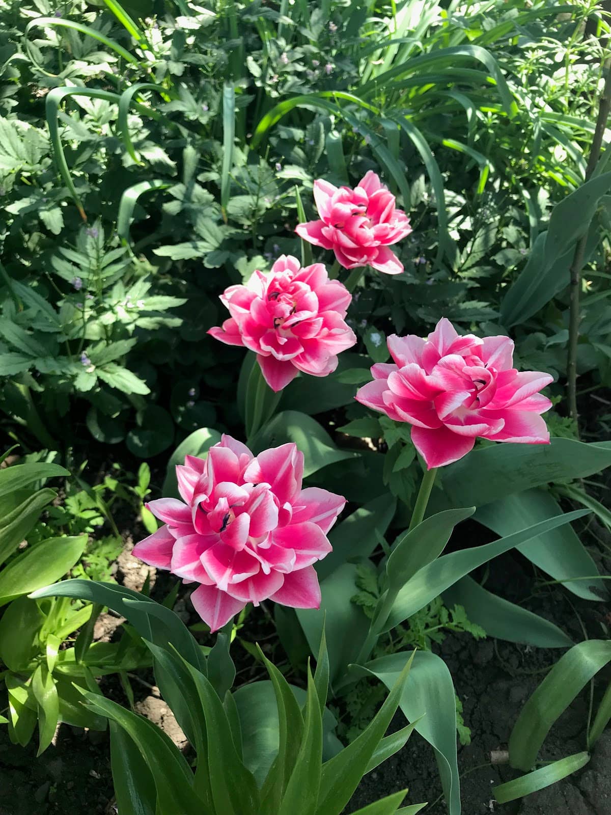 Lviv National Art Gallery