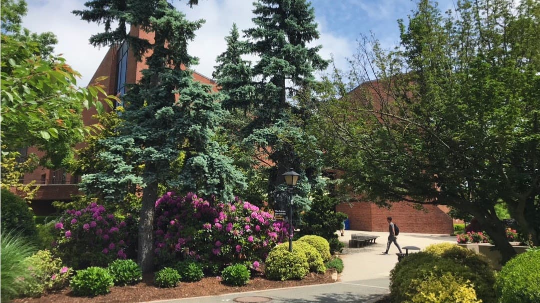 Adelphi University Arboretum - Image 1